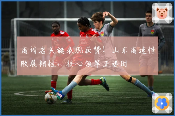 高诗岩关键表现获赞！山东高速惜败展韧性，核心领军正逢时