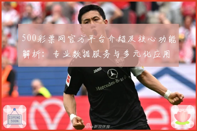 500彩票网官方平台介绍及核心功能解析：专业数据服务与多元化应用体验
